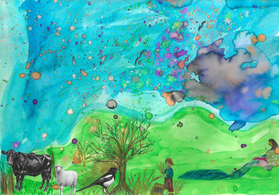 Ilustrar (14)